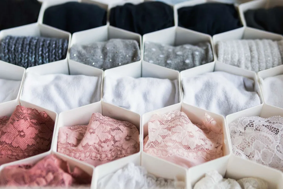 White honeycomb compartments separate small garments inside a drawer.
