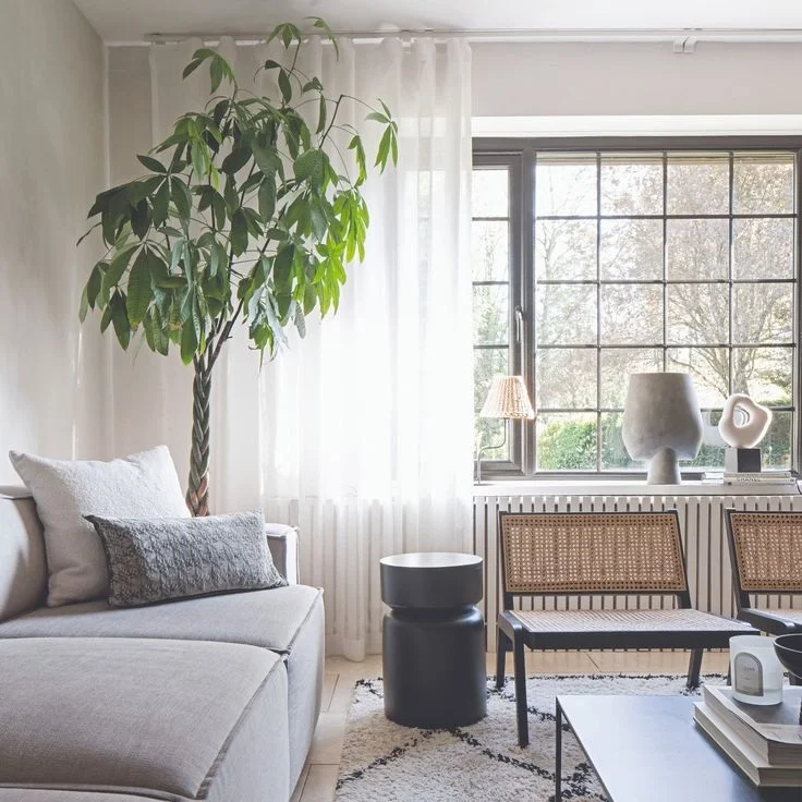 Small Living Room Ideas: Open, Inviting Decor for Apartments